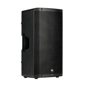 Proel DIVA12A, Altavoz de 12” con bobina de 2”, Amplificador de 1000 W, Mezclador de 3 canales con Bluetooth estéreo